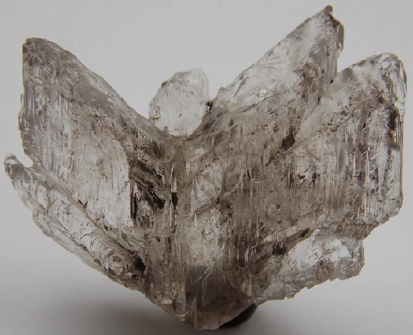 Mineral photo of Gypsum from locality Praha - Strašnice, Czech Republic