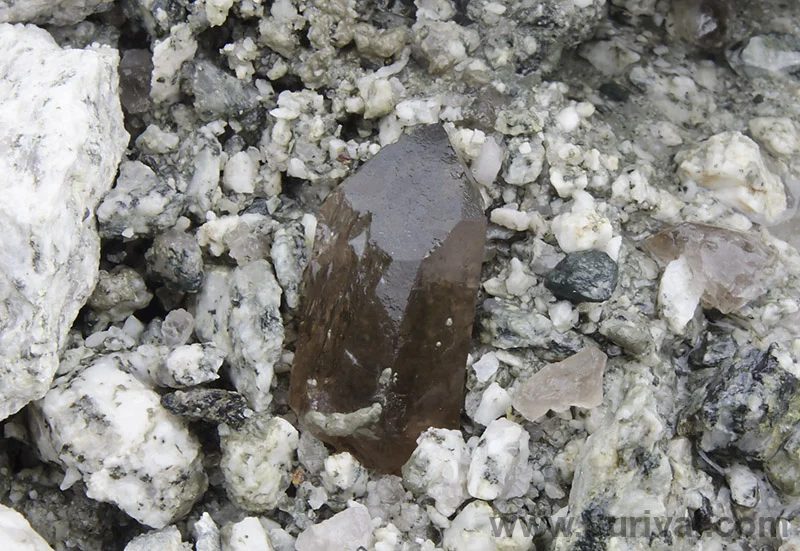 Mineral photo of Quartz (var. smoky) from locality Mt. Blanc Massif, France