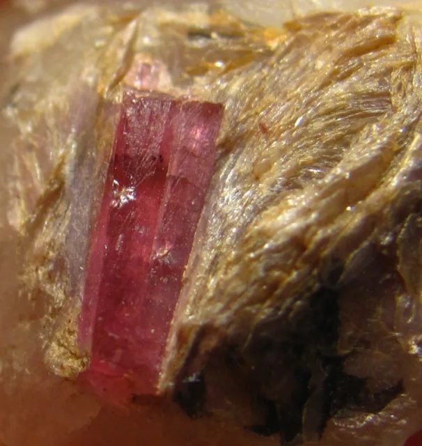 Mineral photo of Elbaite (var. rubellite) from locality Dobrá Voda, Czech Republic