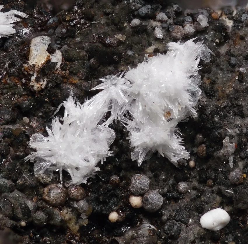 Aragonite