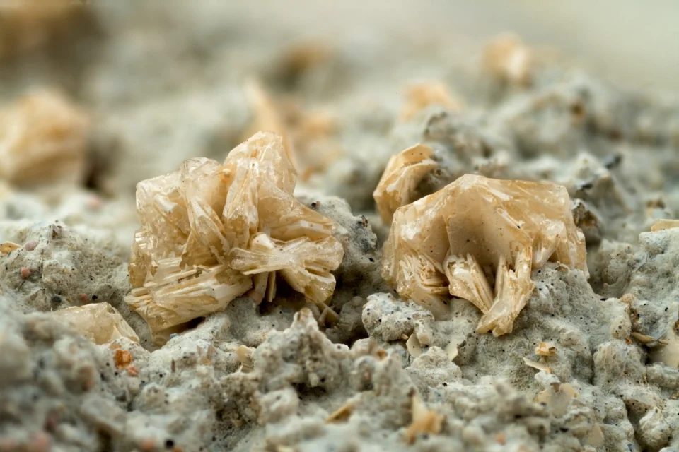 Tridymite