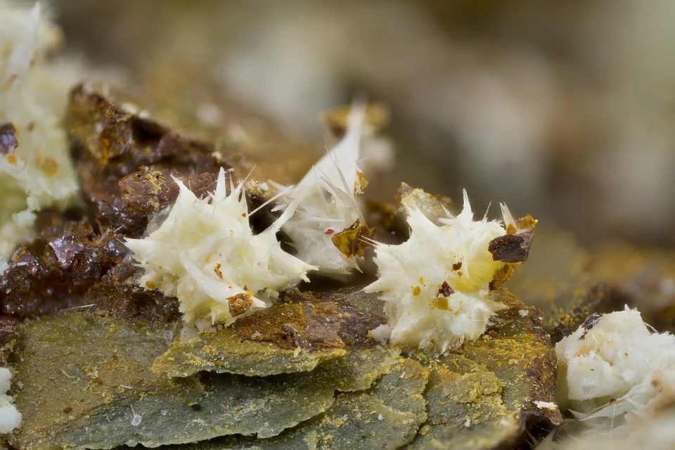 Halotrichite