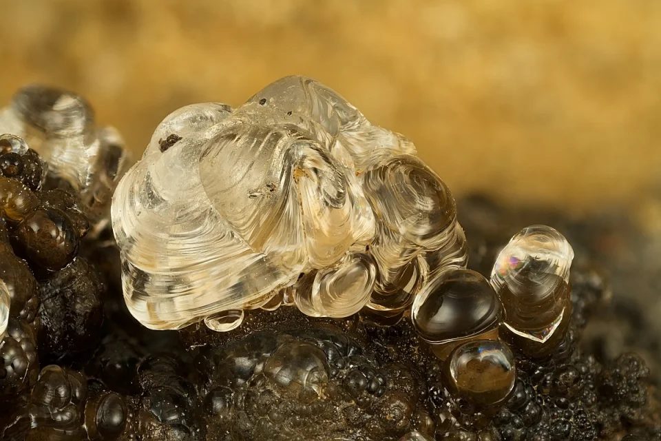 Opal (var. hyalite)