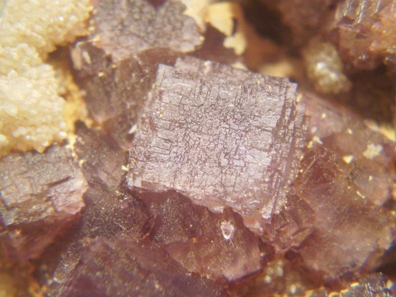 Mineral photo of Fluorite from locality Kožlí u Ledče nad Sázavou, Czech Republic