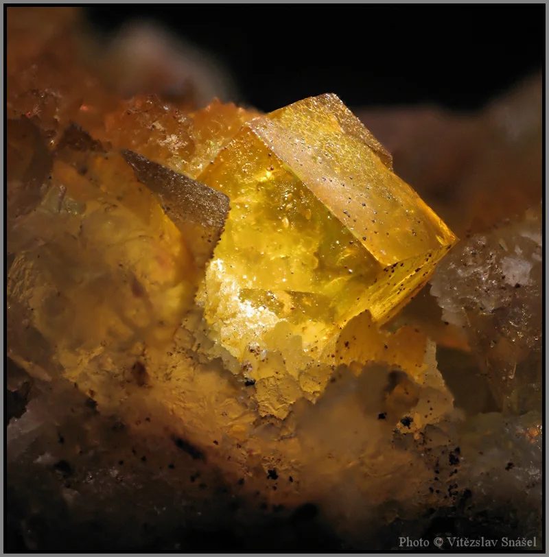 Mineral photo of Fluorite from locality Budjgar, Mongolia