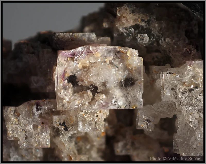 Mineral photo of Fluorite from locality Budjgar, Mongolia