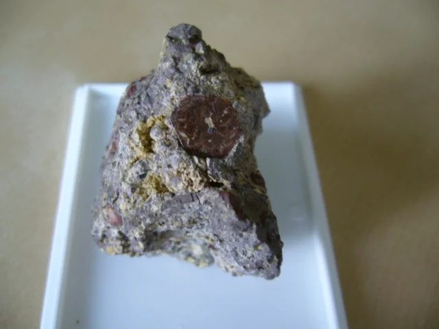 Biotite