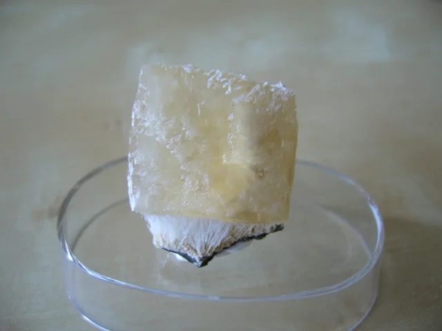 Mineral photo of Calcite from locality Soutěsky, Czech Republic