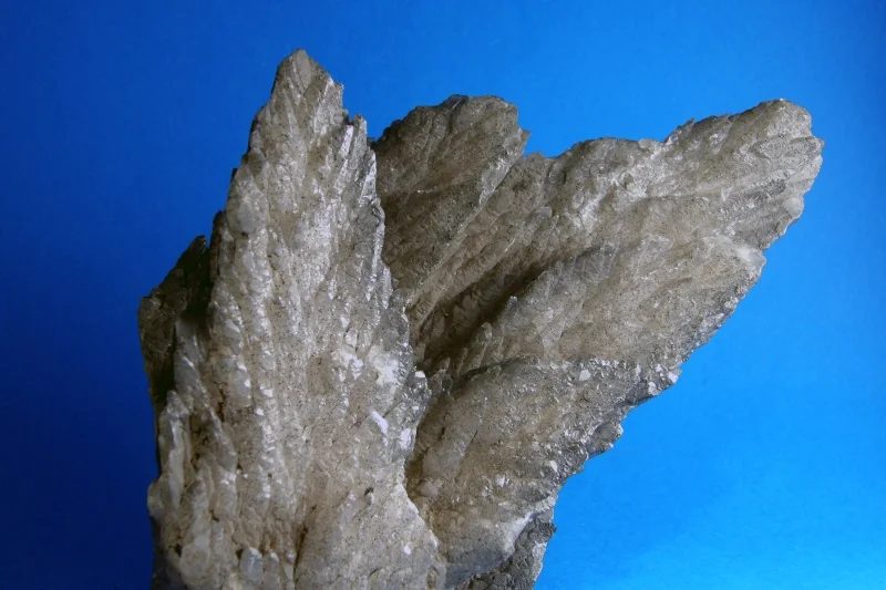Mineral photo of Calcite, Pyrite from locality Příbram, Czech Republic