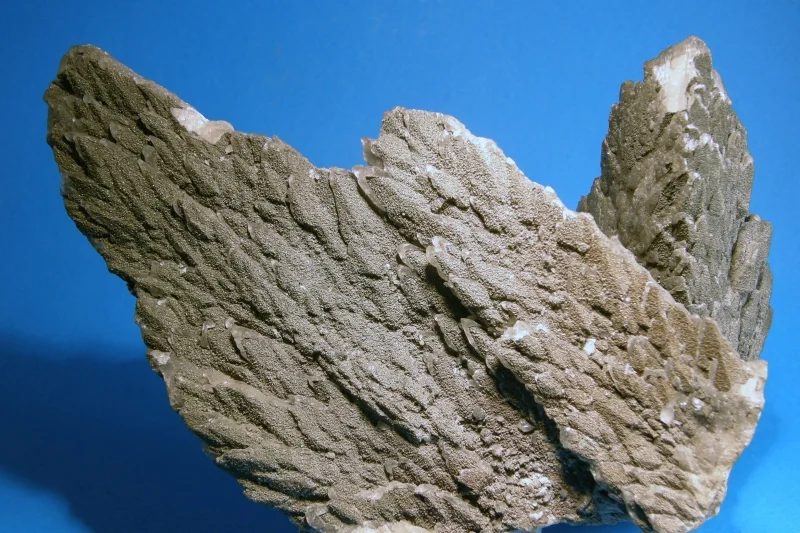 Calcite, Pyrite