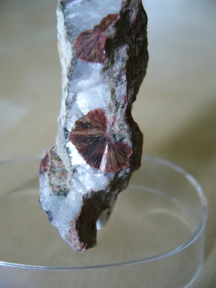 Ferrierite-(Mg)