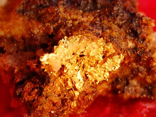 Mineral photo of Gold from locality Zlaté Hory, Czech Republic