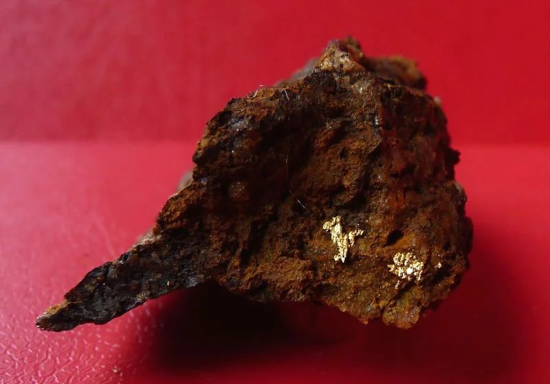 Mineral photo of Gold from locality Zlaté Hory, Czech Republic
