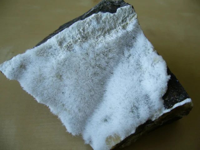 Natrolite
