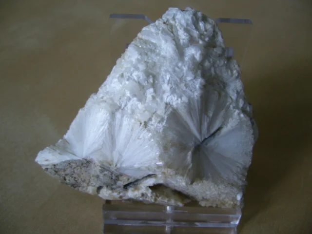 Scolecite