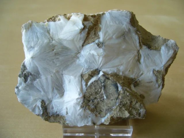 Scolecite