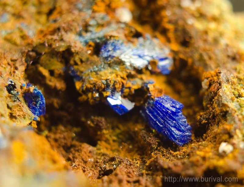 Mineral photo of Linarite from locality Zlaté Hory, Modrá štola, Czech Republic
