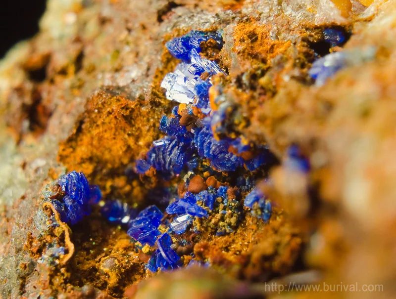 Mineral photo of Linarite from locality Zlaté Hory, Modrá štola, Czech Republic