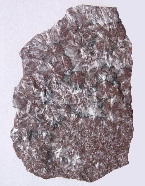 Mineral photo of Wavellite from locality Třenice, Czech Republic