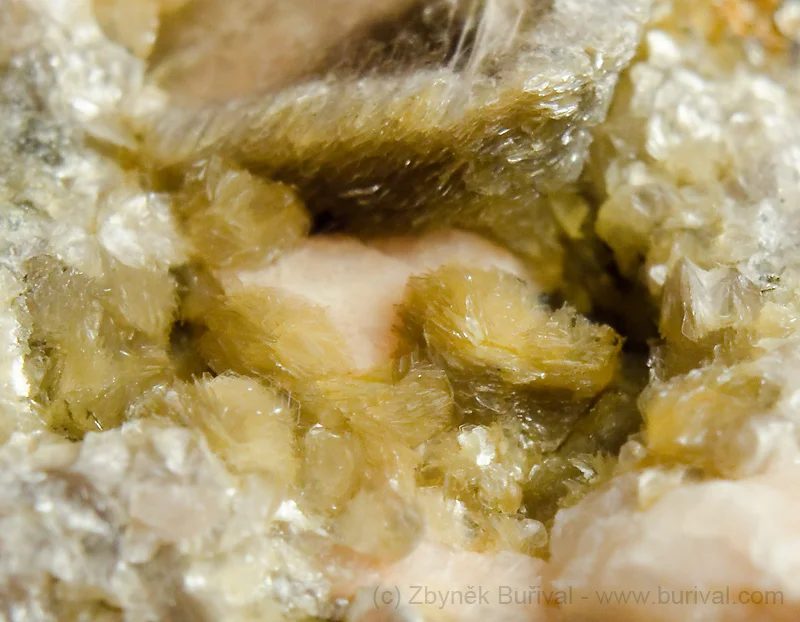 Hydromuscovite