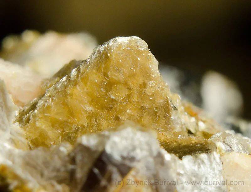 Hydromuscovite