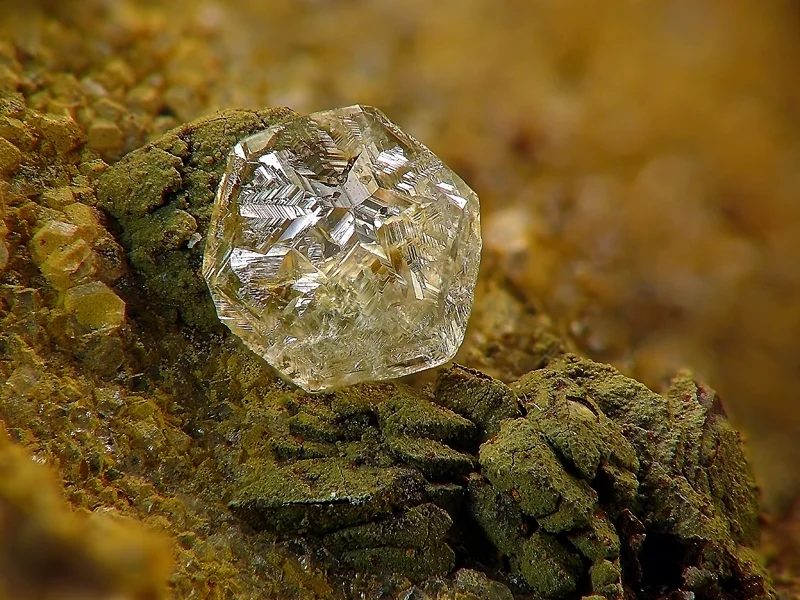 Chabazite (var. phacolite)