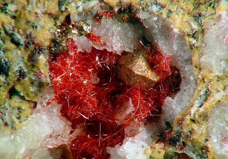 Copper, Cuprite (var. chalcotrichite)