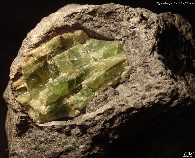Forsterite
