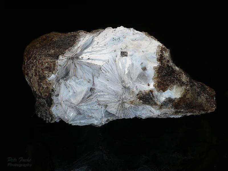 Zeophyllite