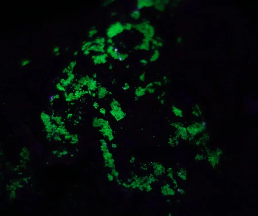 Sabugalite