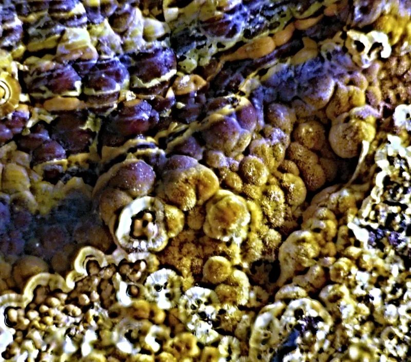 Cacoxenite