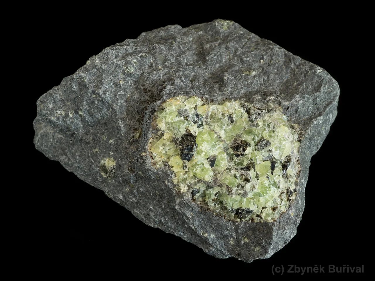 Forsterite