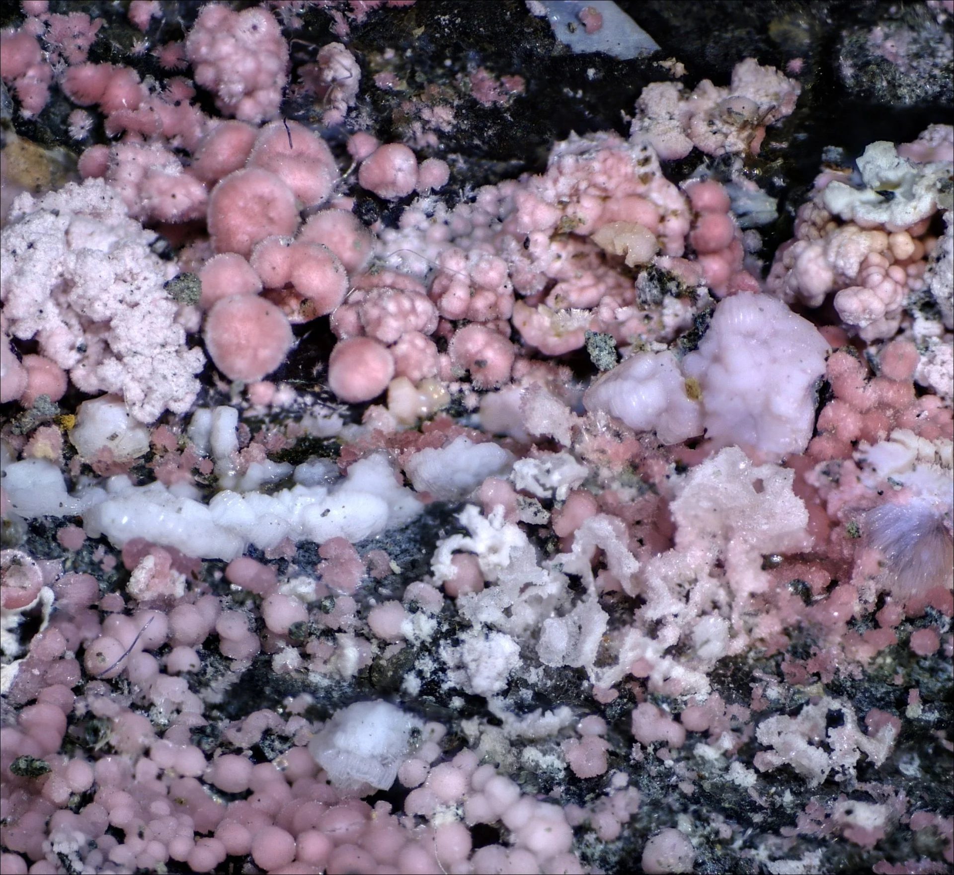 Erythrite, Dobšináite