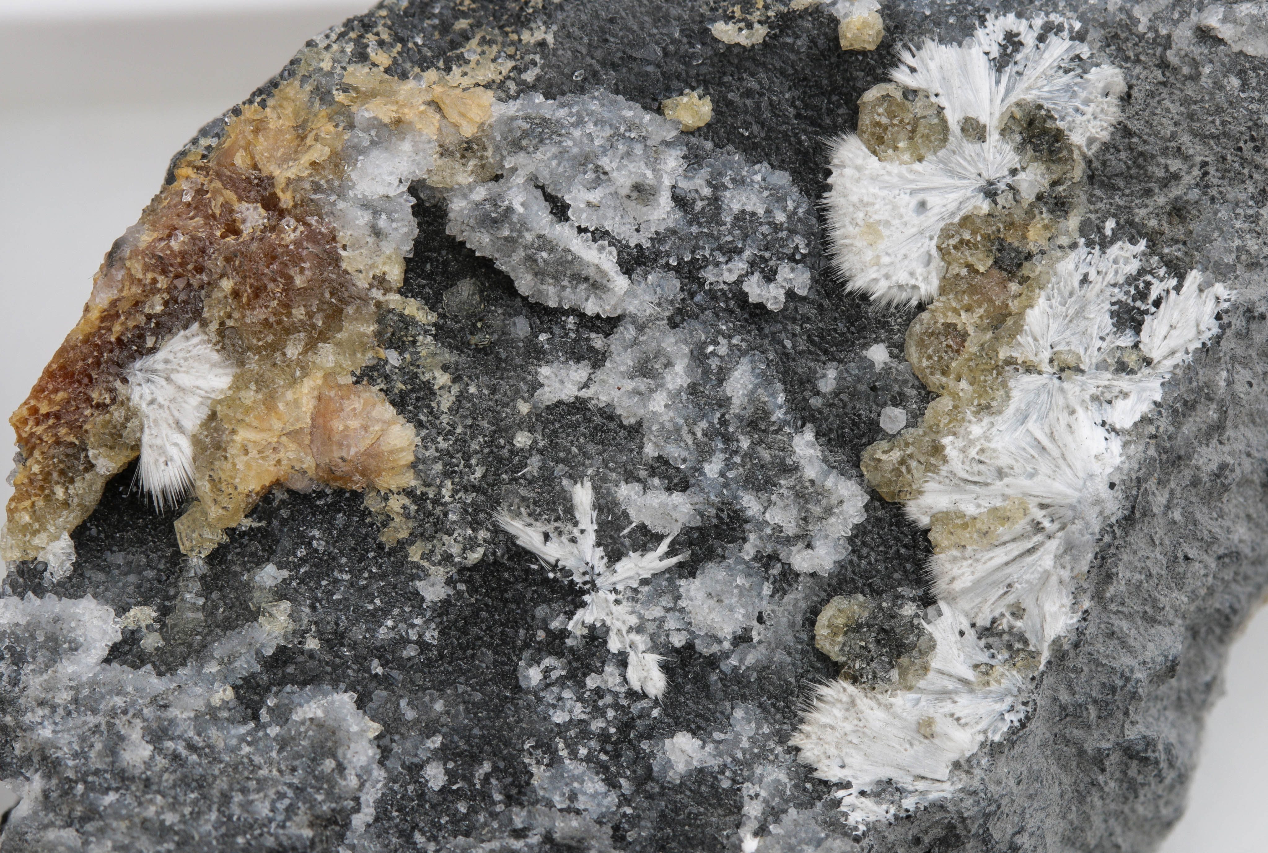 Calcite, Dawsonite, Dolomite