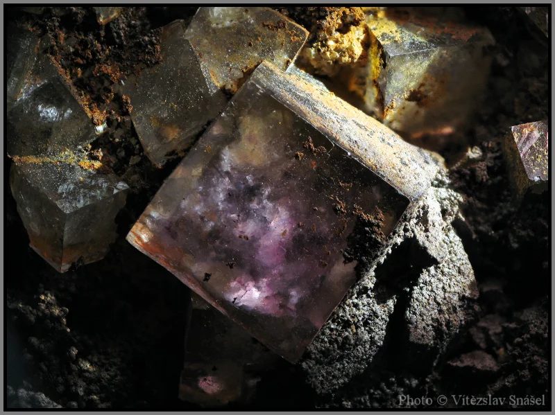 Mineral photo of Fluorite from locality Budjgar, Mongolia