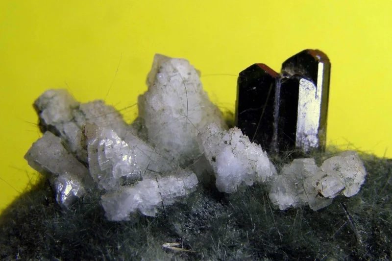Mineral photo of Albite, Byssolite, Epidote from locality Knappenwand, Austria