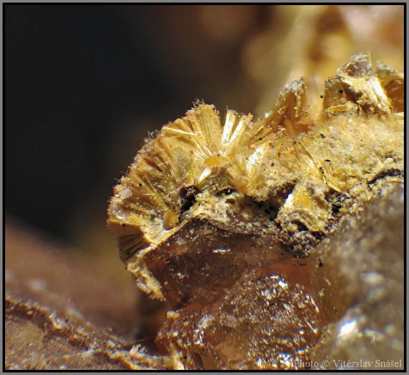 Mineral photo of Cacoxenite from locality Těškov, Czech Republic