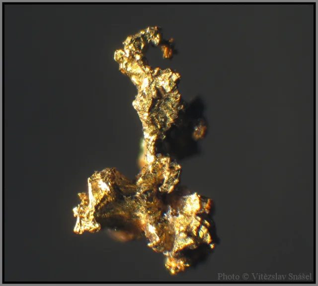 Mineral photo of Gold from locality Zlaté Hory, Czech Republic