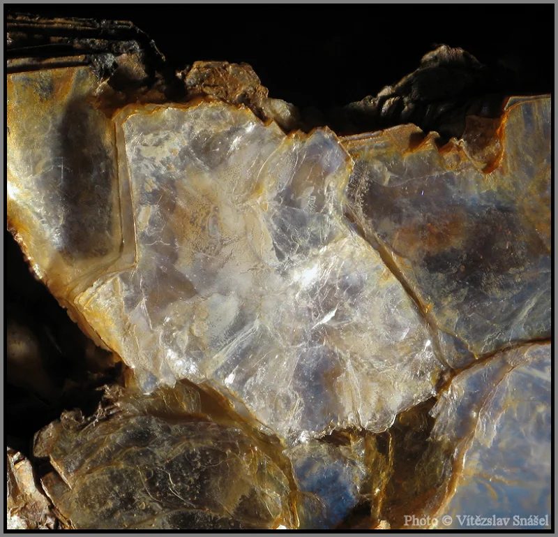 Muscovite