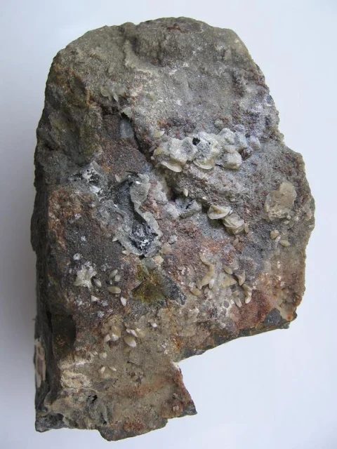 Wulfenite