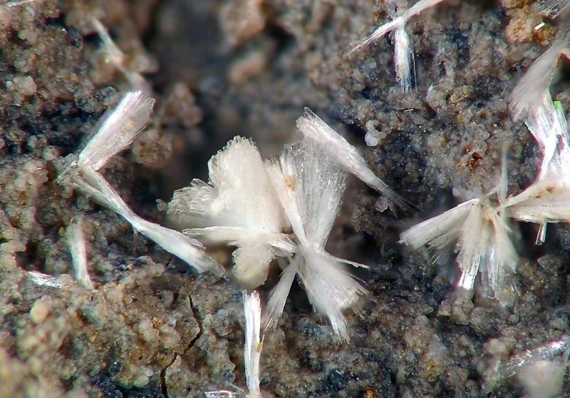 Ferrierite
