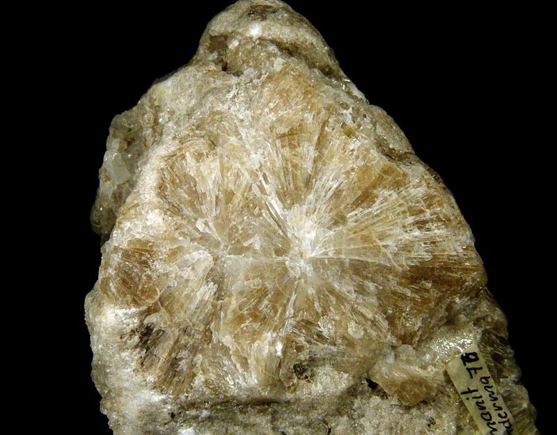 Hydroboracite