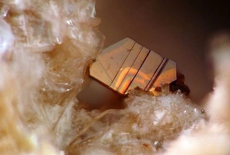 Biotite