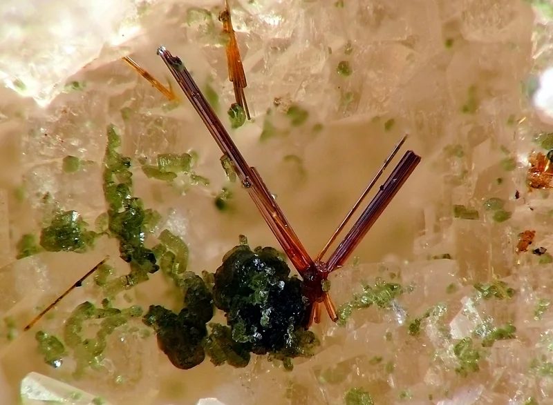 Mineral photo of Chlorite, Rutile from locality Schellgaden, Austria