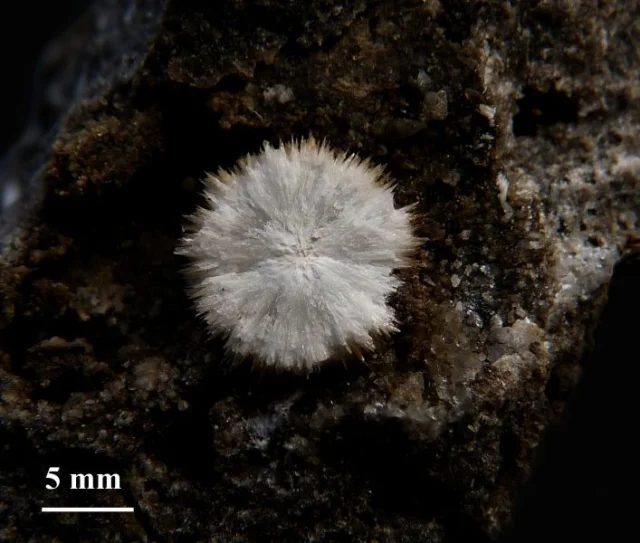 Mineral photo of Strontianite from locality Vendryně, Czech Republic