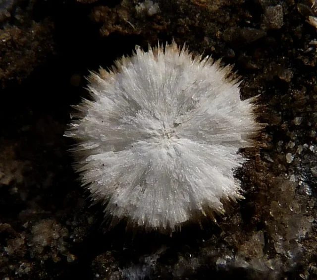 Strontianite