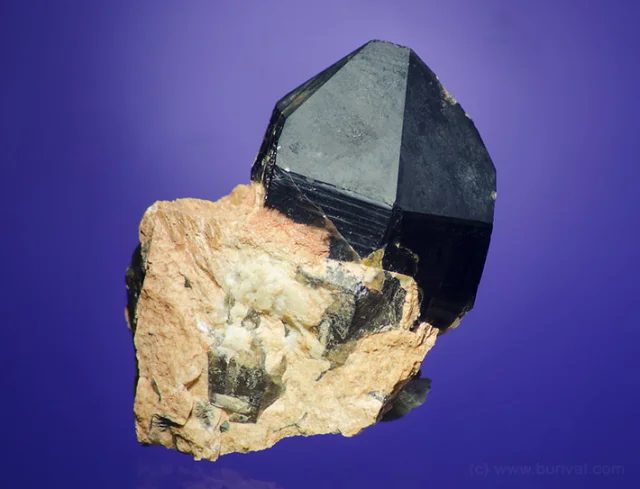 Quartz (var. morion)