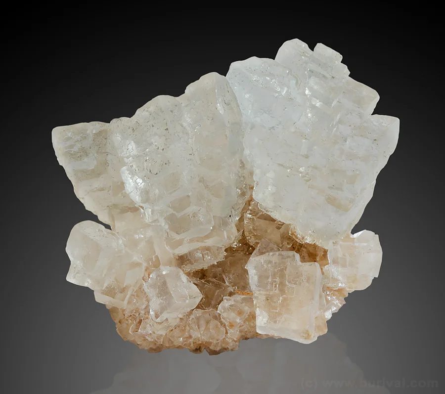 Halite