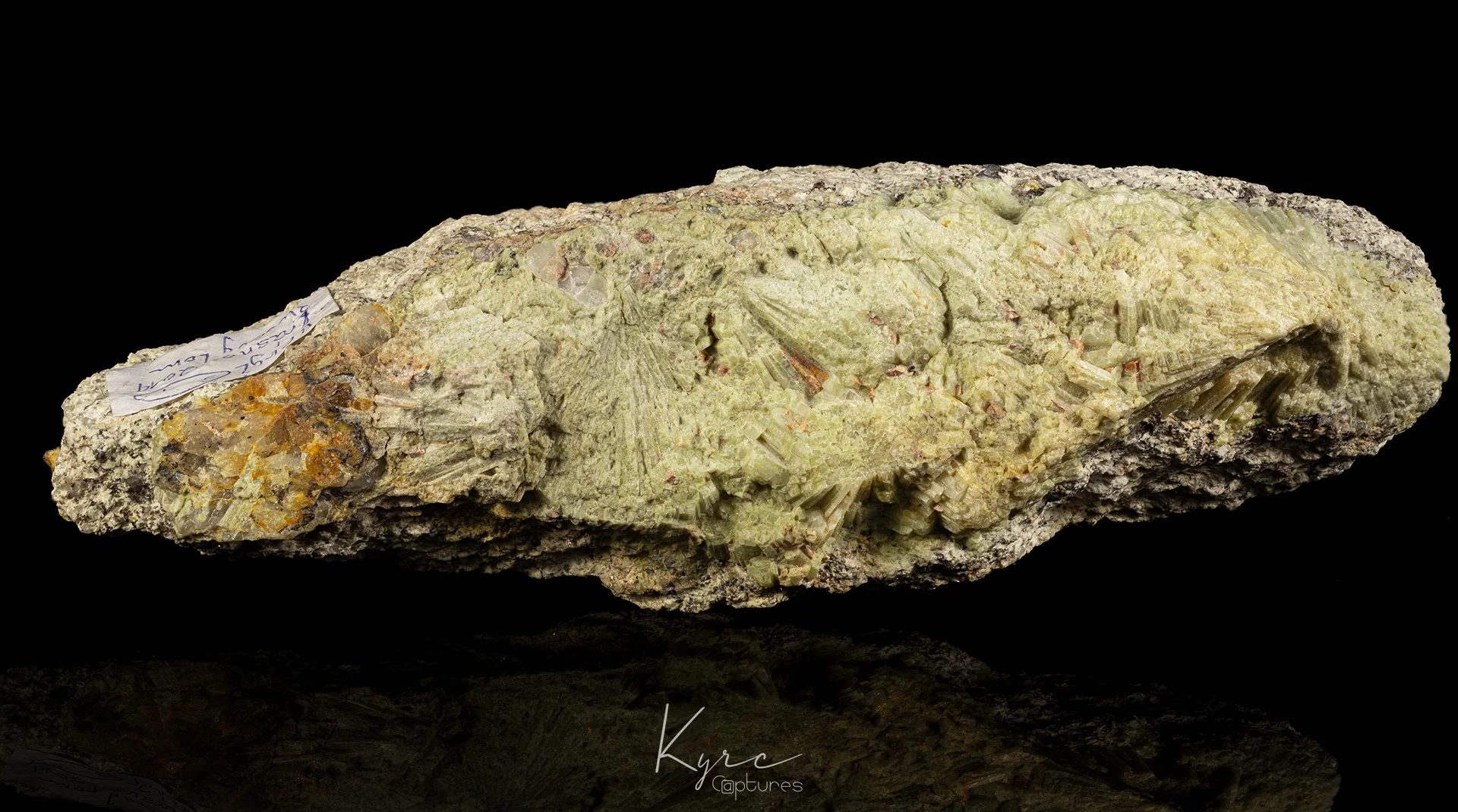 Beryl