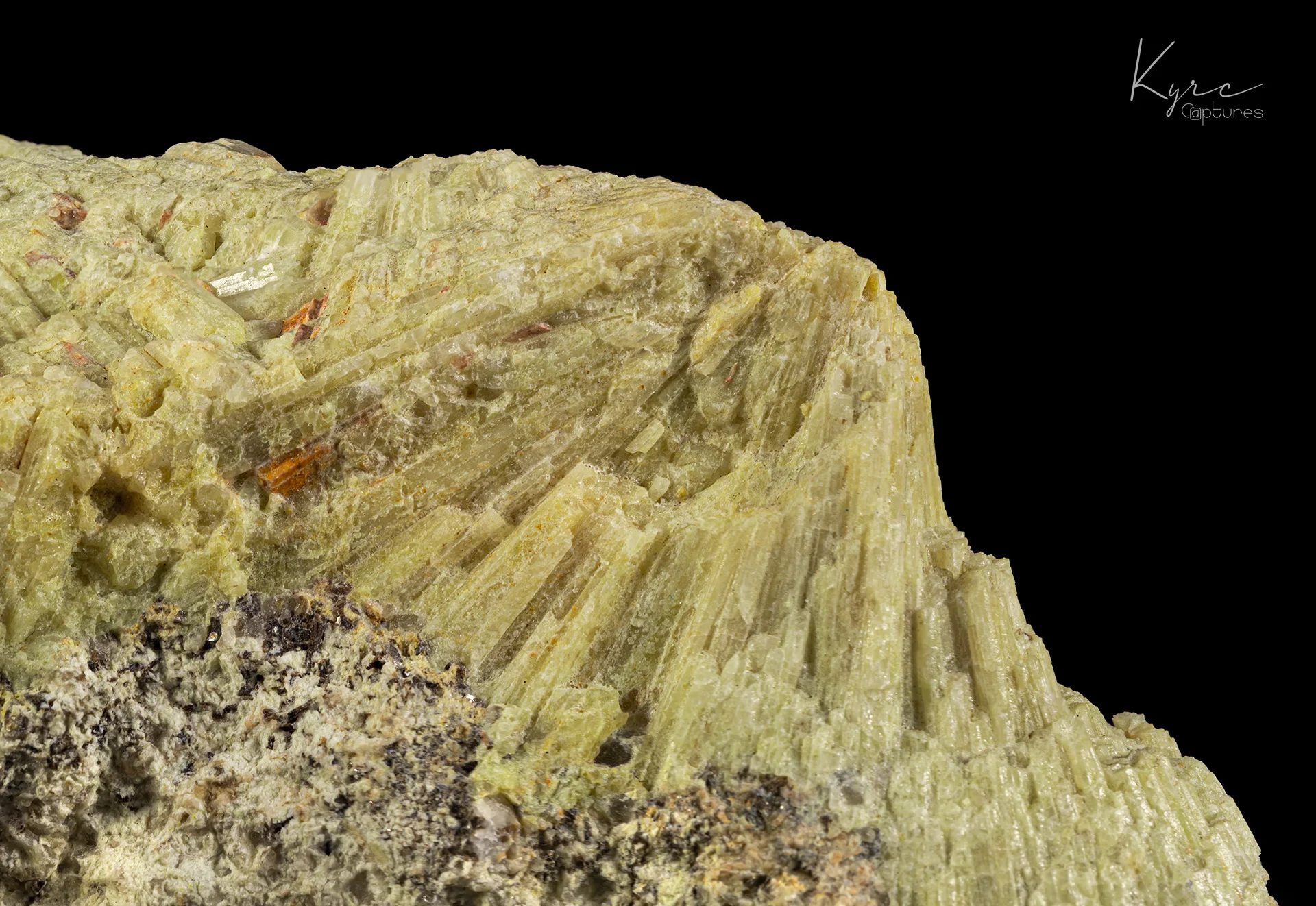Beryl